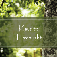 TAK 253 Keys to Fireblight